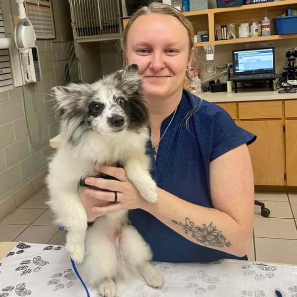 vet staff holding a dog