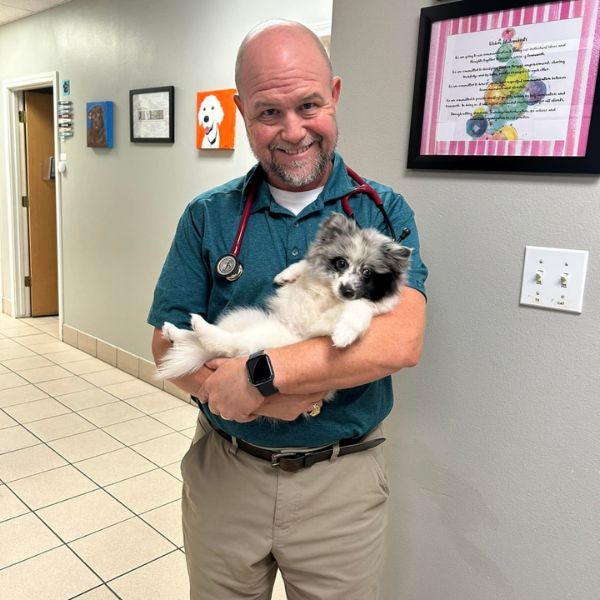 A vet affectionately holding a dog