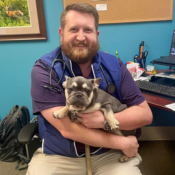 vet holding a dog